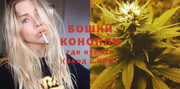 метадон Няндома