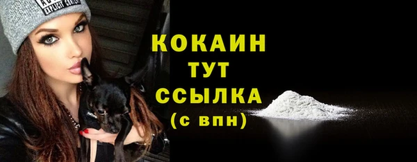 мдпв Нягань