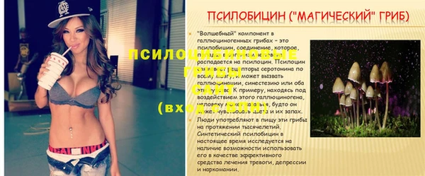мдпв Нягань
