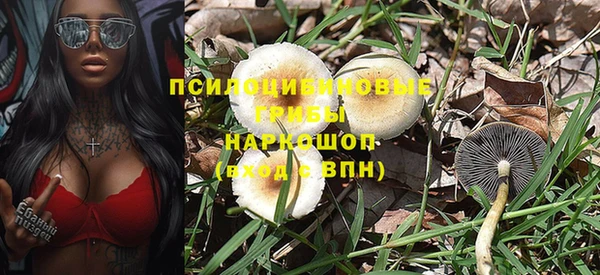 мдпв Нягань