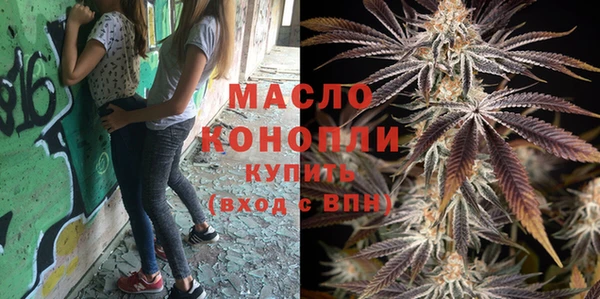 метадон Няндома