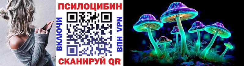 Галлюциногенные грибы Psilocybe  Керчь 
